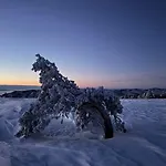 Les Arches Hors Du Temps A Val D'aigoual * فاليراوغ