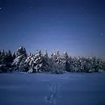 Les Arches Hors Du Temps A Val D'aigoual بيت ضيافة *